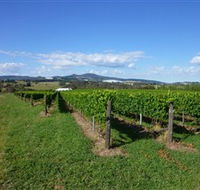 Hedberg Hill Wines - Accommodation Search