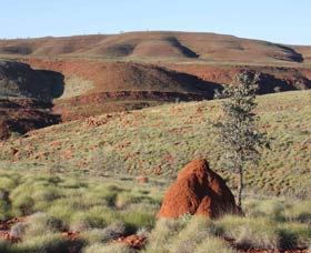 Camel Trail, Millstream-Chichester National Park - Accommodation Search 0