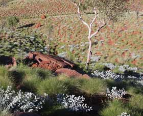 Camel Trail, Millstream-Chichester National Park - Accommodation Search 2