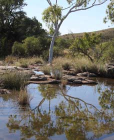 Camel Trail, Millstream-Chichester National Park - Accommodation Search 3