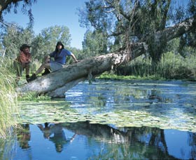 Millstream Chichester National Park - Accommodation Search 1