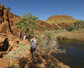 Millstream Chichester National Park - Accommodation Search 3