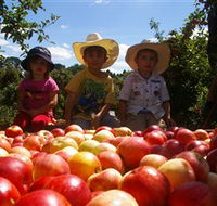 Bonny Glen Fruits - Accommodation Search