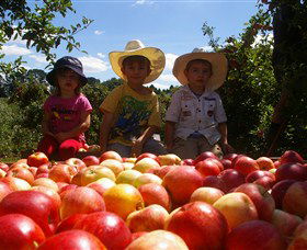 Bonny Glen Fruits - Accommodation Search 0