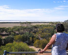 Lake Grace Lookout - Accommodation Search 0
