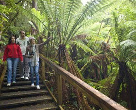 Otway Fly Treetop Adventures - Accommodation Search 0