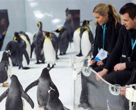 SEA LIFE Melbourne Aquarium - Accommodation Search 2