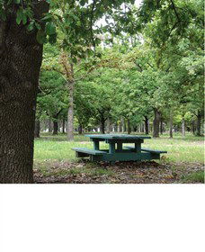 Lindsay Pryor National Arboretum - Accommodation Search 1