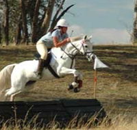 National Equestrian Centre - Kerrabee - Accommodation Search