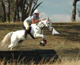National Equestrian Centre - Kerrabee - Accommodation Search 0