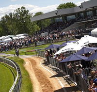 Thoroughbred Park Canberra Racing Club - Horse Racing in the Nations Capital - Accommodation Search