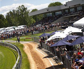 Thoroughbred Park Canberra Racing Club - Horse Racing In The Nations Capital - Accommodation Search 0