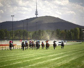 Thoroughbred Park Canberra Racing Club - Horse Racing In The Nations Capital - Accommodation Search 3