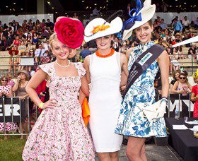 Thoroughbred Park Canberra Racing Club - Horse Racing In The Nations Capital - Accommodation Search 2