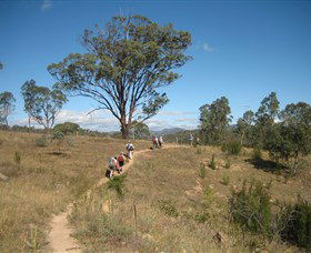 Kambah Pool To Pine Island - Accommodation Search 1