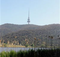 Black Mountain Peninsula - Accommodation Search