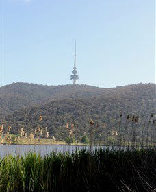 Black Mountain Peninsula - Accommodation Search 0