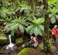 Baw Baw National Park - Accommodation Search