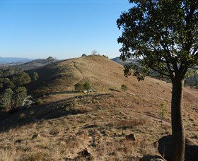Urambi Hills - Accommodation Search 1