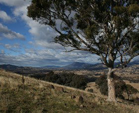Freshwater Creek ACT Accommodation Search