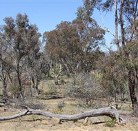 Remembrance Nature Park - Accommodation Search