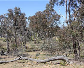 Remembrance Nature Park - Accommodation Search 0