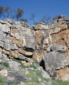 Watheroo National Park - Accommodation Search 0