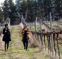 Mount Majura Vineyard - Accommodation Search