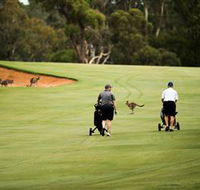 Federal Golf Club - Accommodation Search