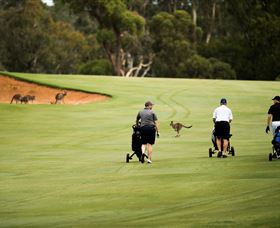 Federal Golf Club - Accommodation Search 0