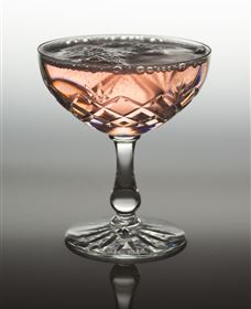 Polit Bar - More Than Cocktails - Accommodation Search 2