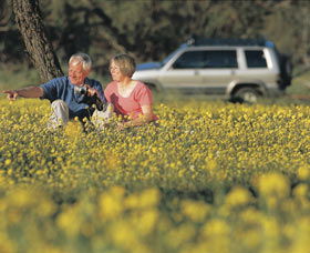 Coalseam Conservation Park - Accommodation Search 0