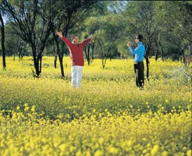 Coalseam Conservation Park - Accommodation Search 2