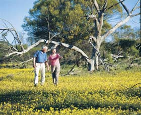 Coalseam Conservation Park - Accommodation Search 3