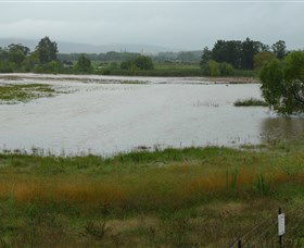 Jerrabomberra Wetlands - Accommodation Search 1