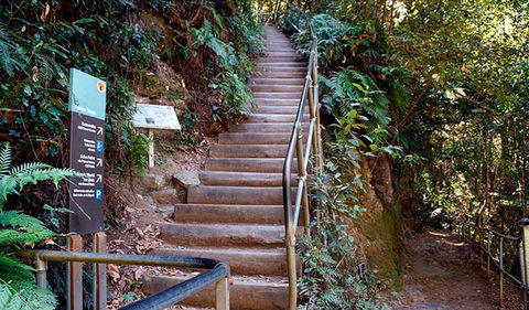Federal Pass - Accommodation Search 1