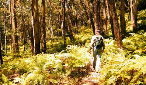 Federal Pass - Accommodation Search 0