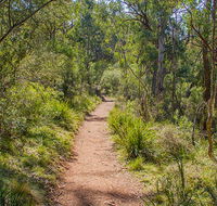 Mares Forest Creek walking track - Accommodation Search