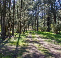 Wombeyan Waterfall walking track - Accommodation Search