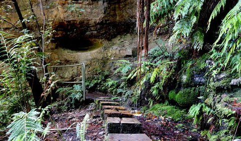 Gordon Falls Lookout And Picnic Area - Accommodation Search 2