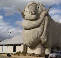 Big Merino - Accommodation Search