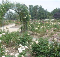 Victoria Park Rose Garden - Accommodation Search