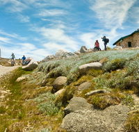 Mount Kosciuszko Summit walk - Accommodation Search