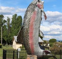 Big Trout - Accommodation Search