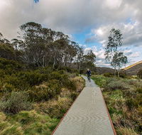 Thredbo Valley track - Accommodation Search