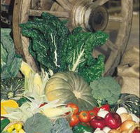 Mulgowie Real Farmers Markets - Accommodation Search