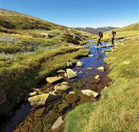 Australian Alps Walking Track - Accommodation Search