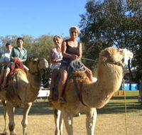 Calamunnda Camel Farm  - Accommodation Search
