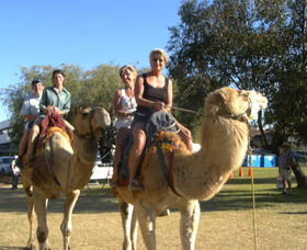 Calamunnda Camel Farm  - Accommodation Search 0