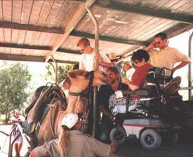 Calamunnda Camel Farm  - Accommodation Search 3